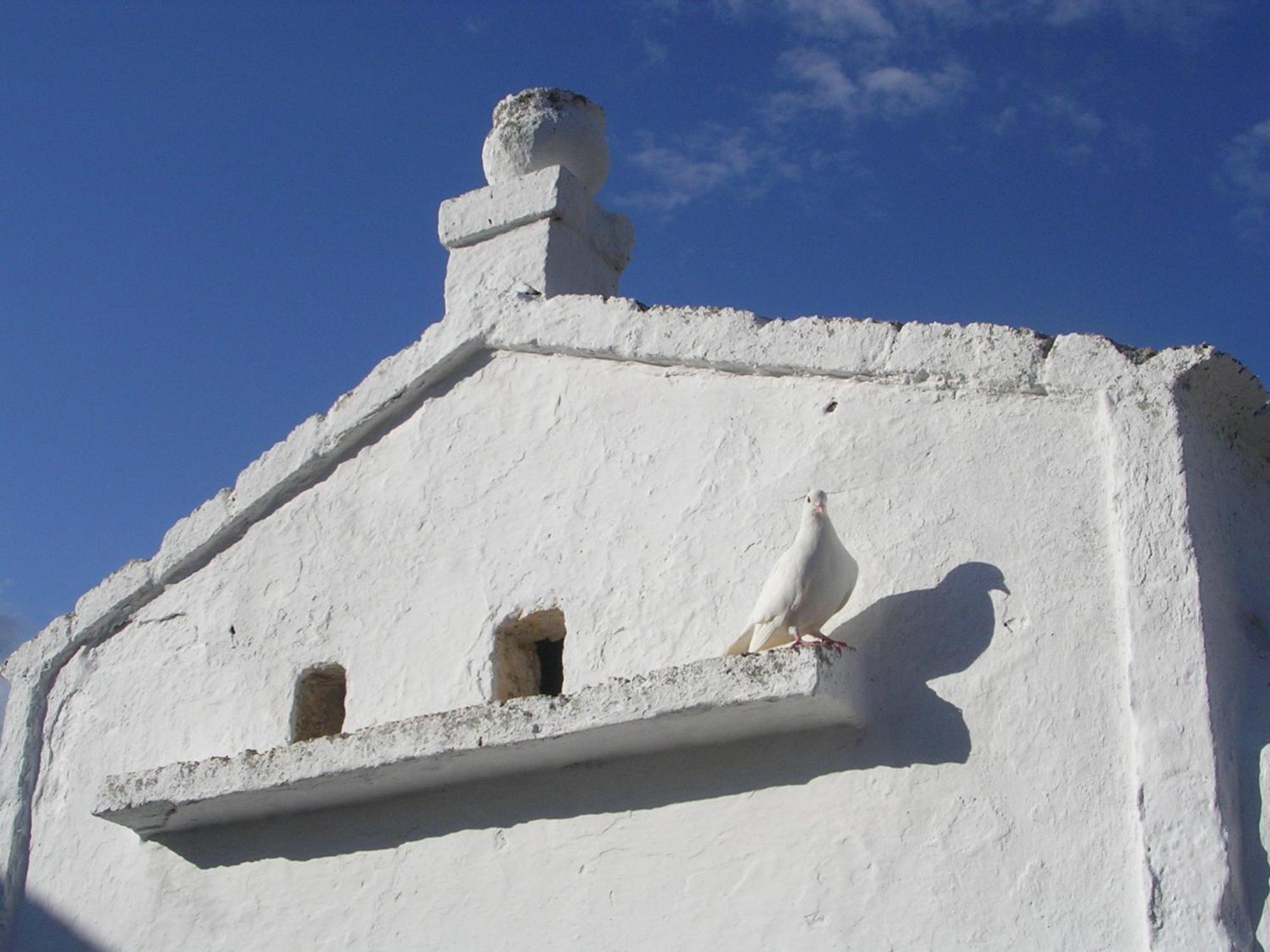 Bed & Breakfast Masseria Purgatorio *