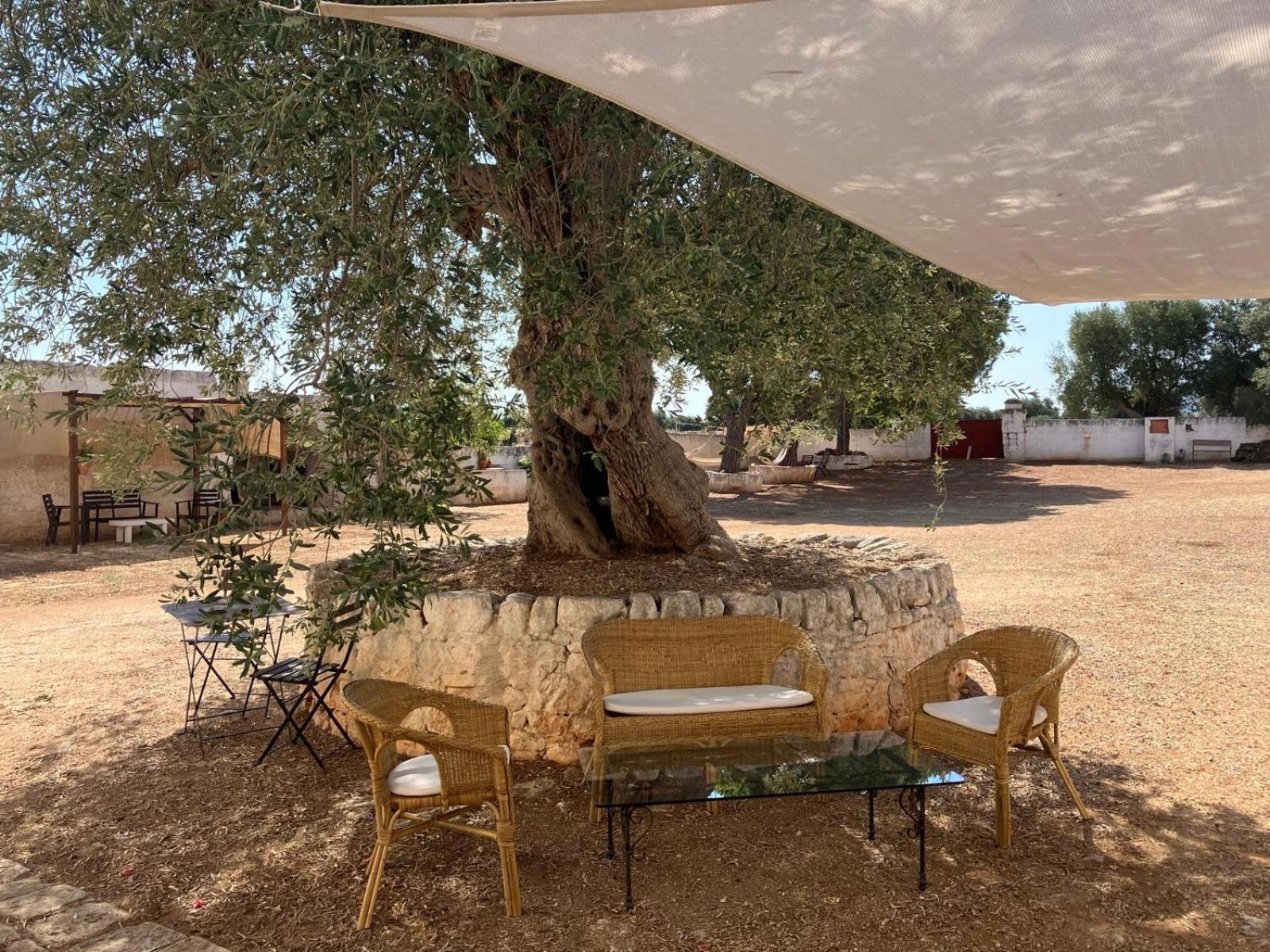 Masseria Purgatorio * Fasano