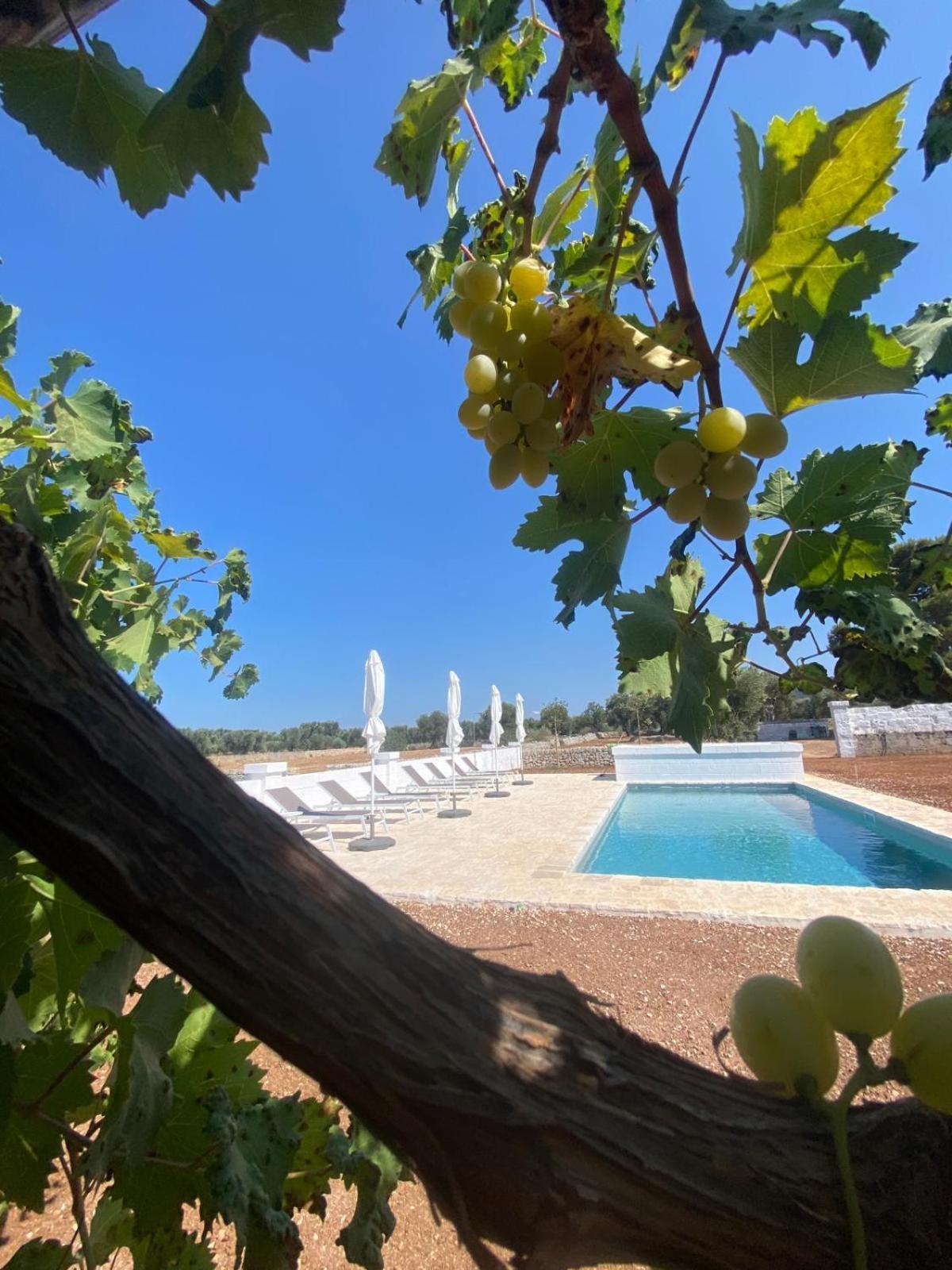 Bed & Breakfast Masseria Purgatorio *